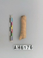 藏品(獸骨)的圖片